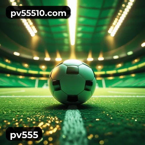 Cashback VIP pv555
